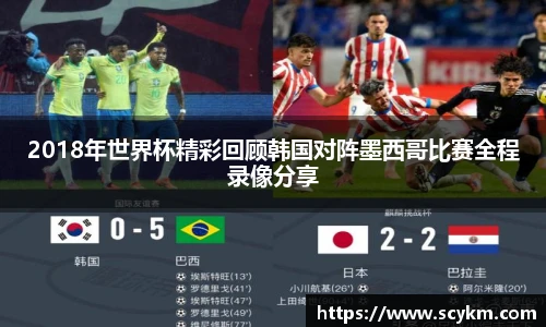 vsport体育手机网页版登录