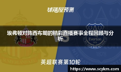 vsport体育手机网页版登录