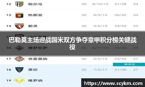 vsport体育官网版
