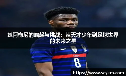 vsport体育官网入口