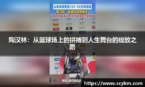 vsport体育官网入口