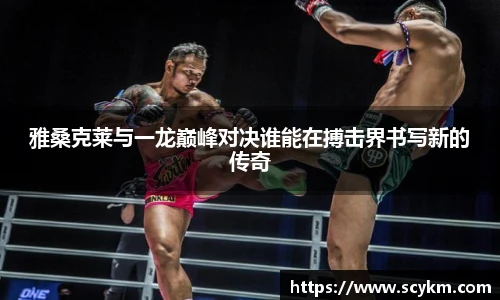 vsport体育手机网页版登录